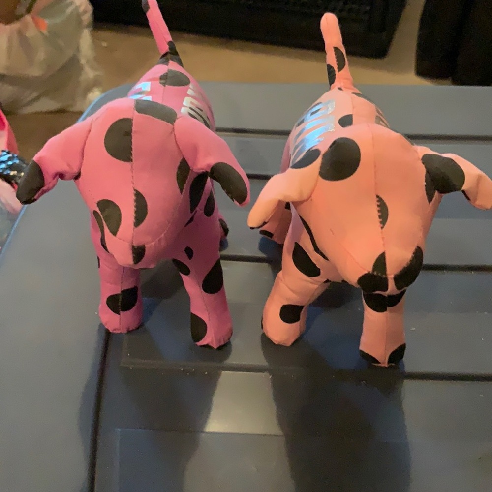 Victoria secret pink dog